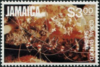Jamaica 1982 $3 Multicoloured Sg545 Cv £2.  50 Vf Mh Postage photo