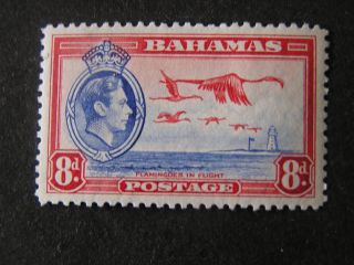 Bahamas,  Scott 108,  8p.  Value Carmine & Ultramarine 1938 - 46 Kgv1 Issue Mvlh photo
