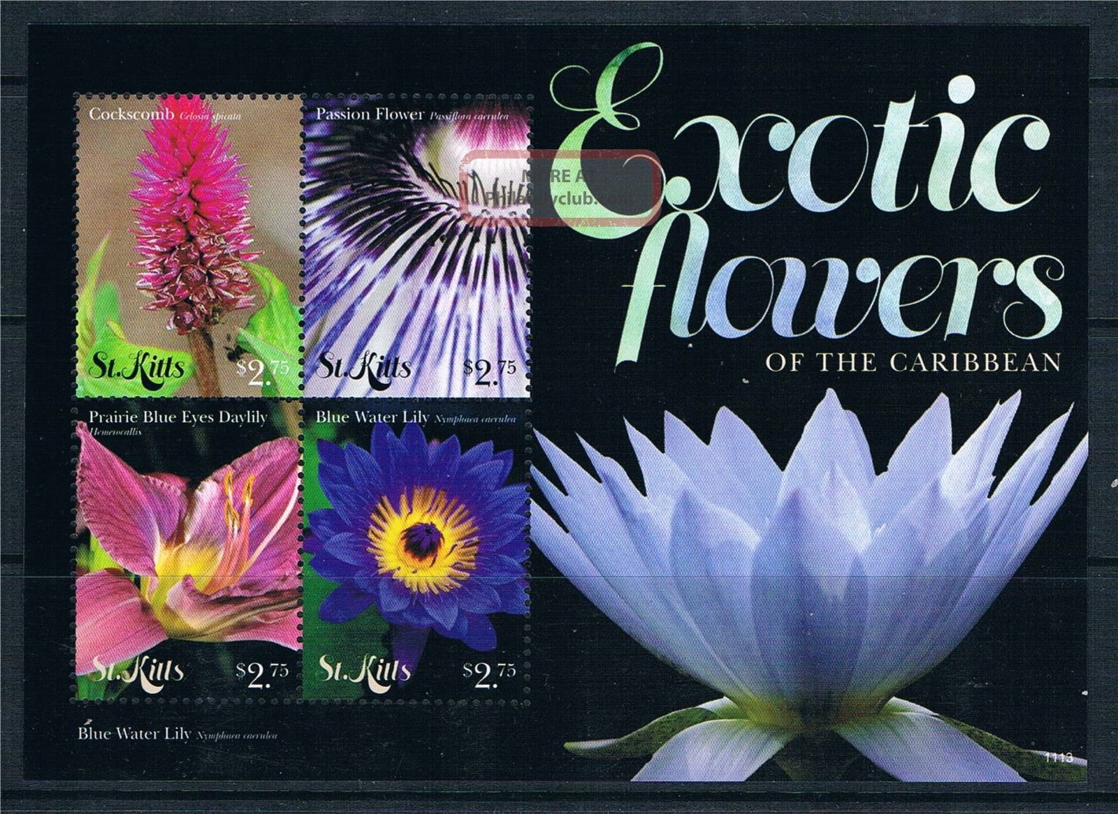 St Kitts 2011 Exotic Flowers 4v Sheet Caribbean photo