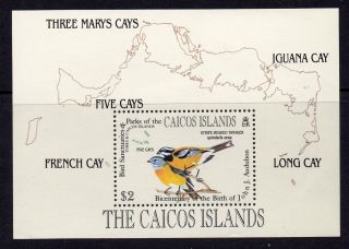 Caicos Islands 1985 Birds Audubon Birth Bicentenary Minisheet Sg Ms72 Un/mint photo