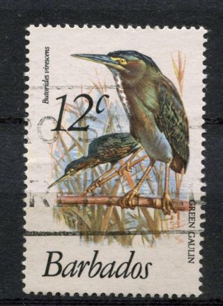 Barbados 1979 - 83 Sg 627,  12c Birds Definitive A51178 photo