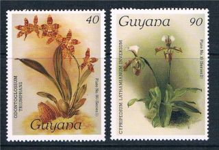 Guyana 1986 Orchids 12th Issue Sg 1868 - 9 photo