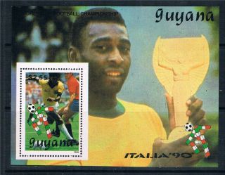 Guyana 1989 World Cup Ms 2221 photo