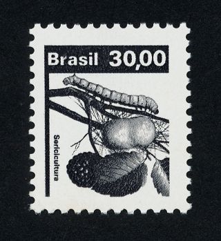 Brazil 1669 Insect photo