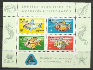Brazil.  1969.  Fish Preservation Miniature Sheet.  Sg: Ms1262. . photo