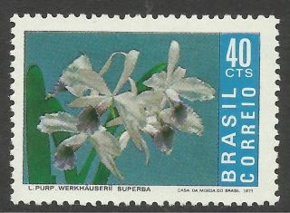 Brazil.  1971.  Brazilian Orchids Commemorative.  Sg: 1335. . photo