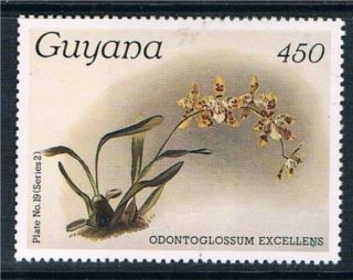 Guyana 1987 Orchid Sg 2175 photo