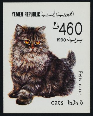 Yemen 564 Cat photo
