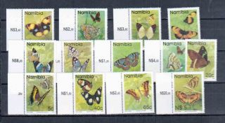 Namibia Butterflies photo