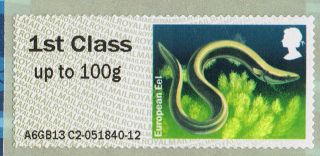 European Eel (freshwater Fish) Illustrated On 2013 Self - Adhesive Gb Stamp photo