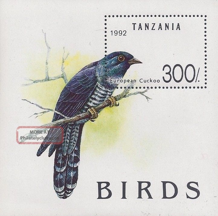 1992 Tanzania Souvenir Sheet Blue European Cuckoo Bird Animal Kingdom photo