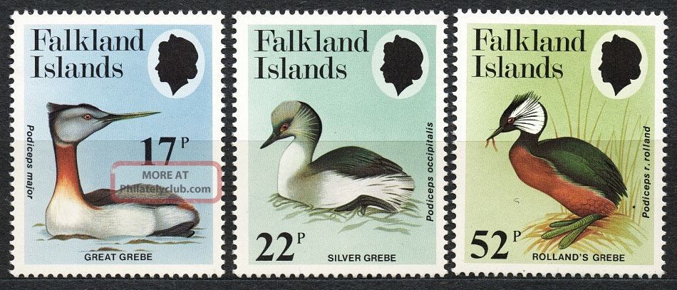 Falkland Islands 1984 - Great Grebe,  Birds Animal Kingdom photo
