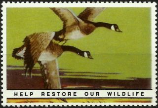 Canada Goose,  National Wildlife Federation,  Year 1938,  Reprinted In 1987, .  - photo