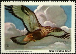 National Wildlife Federation Stamp,  Year 1956,  Rough - Legged Hawk, photo