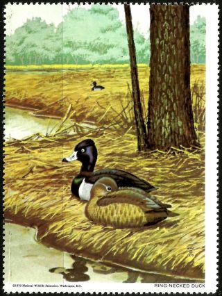 National Wildlife Federation Stamp,  Year 1970,  Ring - Necked Duck, photo