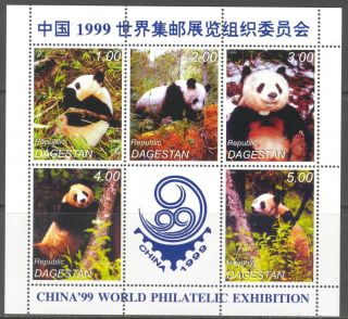 Dagestan,  Local Issue 1999 China ' 99 Panda Sheet Of 5 photo