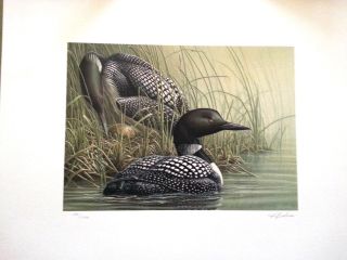 Duck Stamp Litho Quebec Pierre Leduc Signed 1990 Numbered Great Detail 14x12 photo