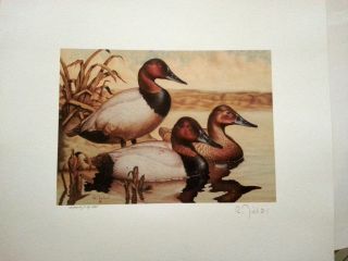 Duck Stamp Litho Washington Ray Nichol Signed 1987 Numbered Great Detail 14x12 photo