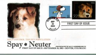 Fpmg 3671 Spay Neuter Dog Denver,  Co With Snoopy Peanut Stamp photo