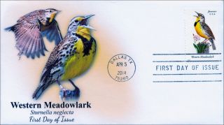 2014 Us Songbirds - Western Meadowlark Fdc photo
