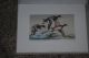 1977 Iowa State Duck Print & Stamp - Maynard Reece - In Studio Cover Back of Book photo 3