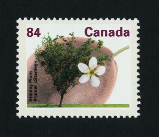 Canada 1371 Fruit,  Stanley Plum,  Flower photo