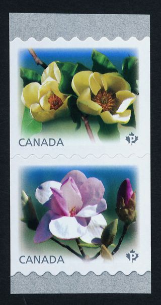Canada 2622 - 3 Flowers,  Magnolias photo