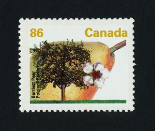 Canada 1372 Fruit,  Bartlet Pear,  Flower photo