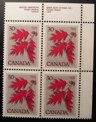 Canada 720 1978 30 Cent Canadian Trees - Red Oak Plate Block photo