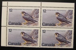 Canada 752 1978 12 Cent Endangered Wildlife Peregrine Falcon Plate Block photo