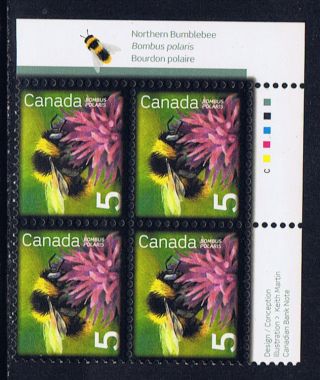 Canada 2236 (31) 2007 5 Cent Northern Bumblebee Upper Right Plate Block photo