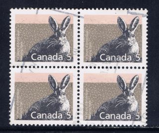 Canada 1158 (3) 1988 5 Cent Mammals Definitives - Varying Hare Block Of 4 photo