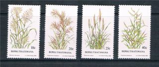 Bophuthatswana 1984 Indigenous Grasses 2nd Sg 116/9 photo