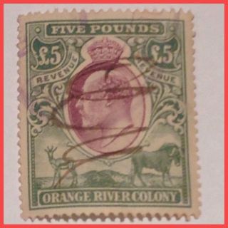 Orange River Colony 1900 £5 Bicolour Green & Plum Vfu Duty Stamp As Per Scans photo