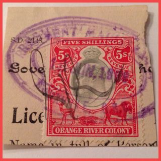 Orange River Colony 1902 5/ - Bicolour Red & Green Vfu Duty Stamp Per Scans photo