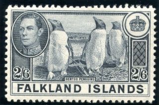 Falkland Islands 1937 Printing Kgvi 2s6d Slate Mlh.  Sg 160 Var.  Heijtz 90a. photo
