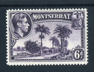 Montserrat 1943.  6d Violet.  Mh.  Og.  P14. photo