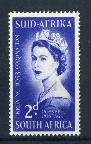 South Africa 1953.  Coronation.  2d Violet Blue.  Mlh.  Og. photo