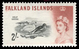 Falkland Islands 1966 Qeii 2s Black & Lake - Brown (dlr).  Sg 204a. photo