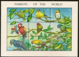 St Vincent:1995 Parrots Sheetlet Sg 2862 - 70 Unmounted photo