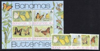Bahamas 371 - 3a Butterflies photo