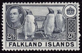 Falkland Islands Scott 93 Stamp - Hinged - Key Early Stamp - Penguins photo
