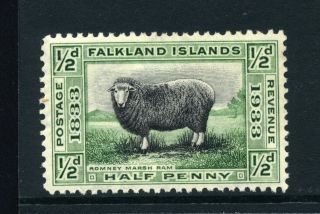 Falkland Isl Og 65 Marsh Ram Ah974 photo