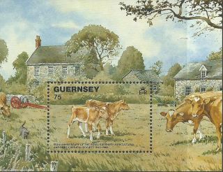 Guernsey - 1992 - Ms561 - Cv £ 2.  10 - Unmounted photo