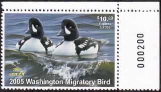 2005 Washington State Duck Stamp Never Hinged Vf photo