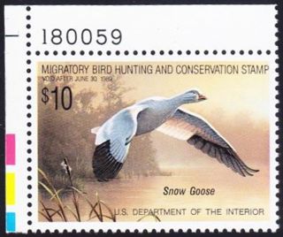 Rw55 1988 Duck Stamp Never Hinged Xf - Sup 95 With Pse Cert photo