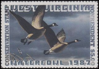 1987 West Virginia State Nonresident Duck Stamp Never Hinged Vf photo