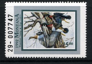 Mt7,  1992 Montana State Duck Stamp,  Wood Ducks photo