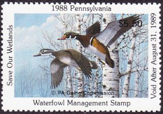 1988 Pennsylvania State Duck Stamp Never Hinged Vf photo