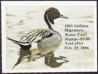 1985 Indiana State Duck Stamp Never Hinged Vf photo